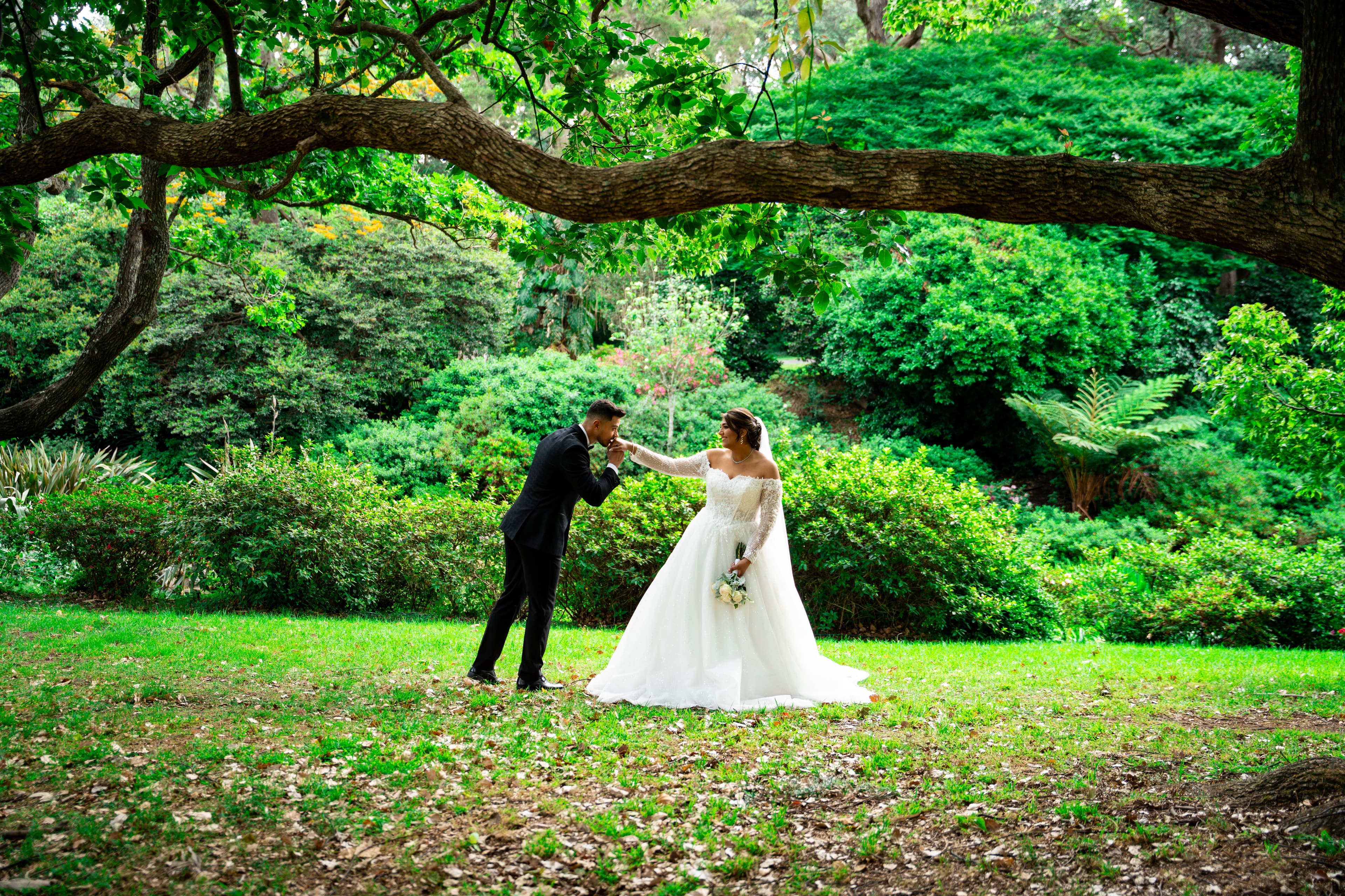Stillness beneath the great tree